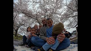 Cherry Blossom in Japan | Family Trip to Sakura Park screenshot 2