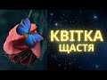 КВІТКА ЩАСТЯ