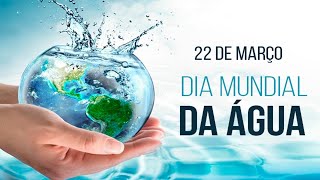 Dia Mundial da Água/22 de março/A importância da água