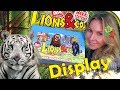 LIONS & CO 🦁 Ein ganzes Display Maxxi Edition 🐆 Figuren Unboxing 🐒 DeAgostini