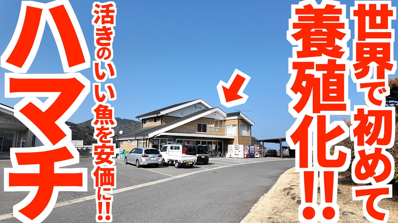 【世界初のハマチ養殖所‼︎瀬戸内海を見ながら新鮮な魚を安価で食らう‼︎】あまりに偉大すぎて通称が店名になった‼︎讃岐うどん県で人気な海鮮定食の名店【ワーサン亭】香川県東かがわ市