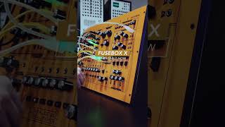 Fusebox X // Analog Firepower from Analogue Solutions #shorts