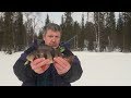 На одну блесну две рыбы / One bait for two fish at the same time