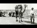 History Of The Muslim Cameleers Of Australia History Of The Muslim Cameleers Of Australia