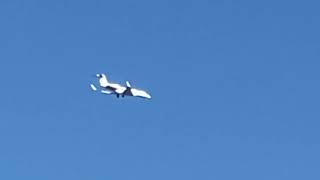 LabCorp SKQ 101 Approaching Trenton-Mercer Airport in Ewing, NJ