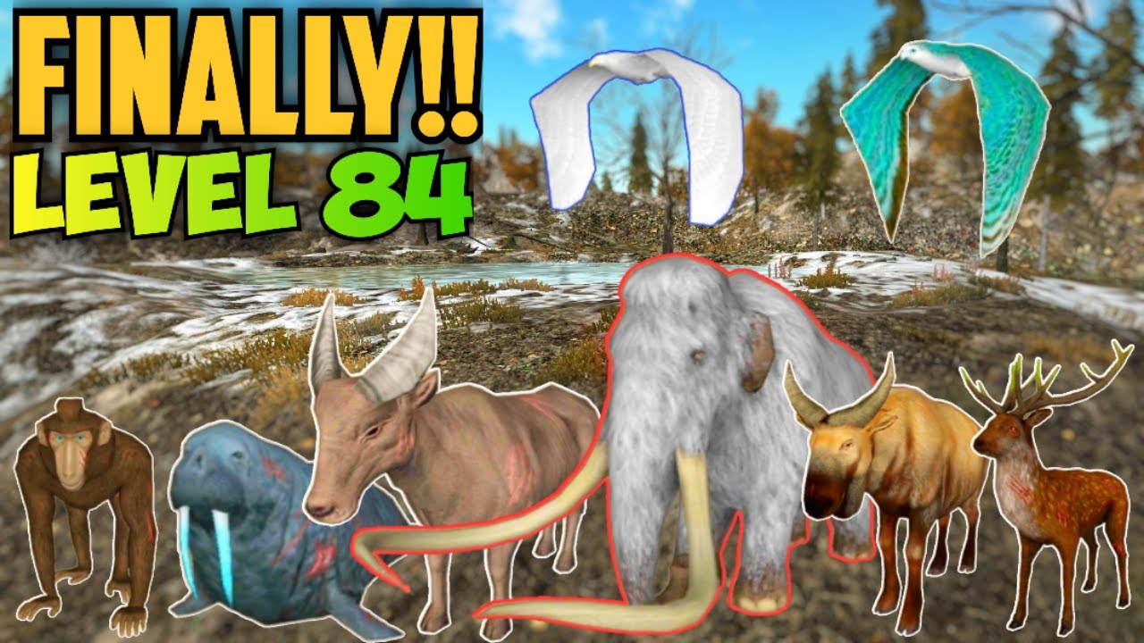 The Wolf: Reached Level 84 & Hunted Champions 🏆