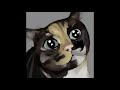 Potentially Innocent Kitty Timelapse