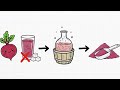 DoNotAge Nitralis® Review: Mechanism of Action, Benefits, Side Effects, and More