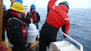 Deploying Drift Buoys, Chukchi Sea 8-18-15