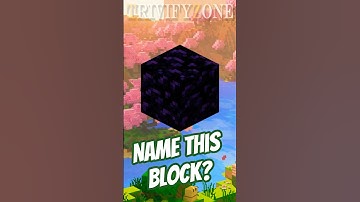 Guess the Minecraft Block Challenge ⛏️ | Can You Name Them All?