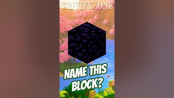 Guess the Minecraft Block Challenge ⛏️ | Can You Name Them All?
