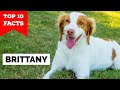 Brittany - Top 10 Facts の動画、YouTube動画。