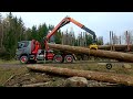 *Compilation* Scania in forest