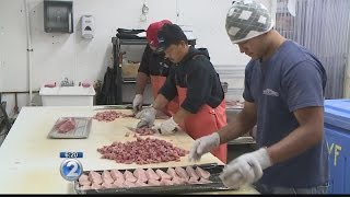 Wake Up 2day: Suisan Fish Market