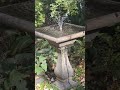 fountain #fountain #water #ig #short #shorts #youtubeshorts #trending #viral #subscribe #like #fyp