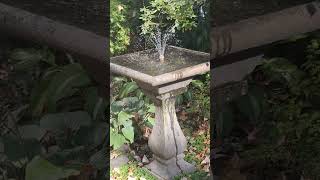 fountain #fountain #water #ig #short #shorts #youtubeshorts #trending #viral #subscribe #like #fyp