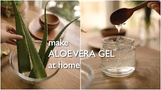 2 ways to make pure organic aloe vera gel at home and preserve for months. screenshot 2