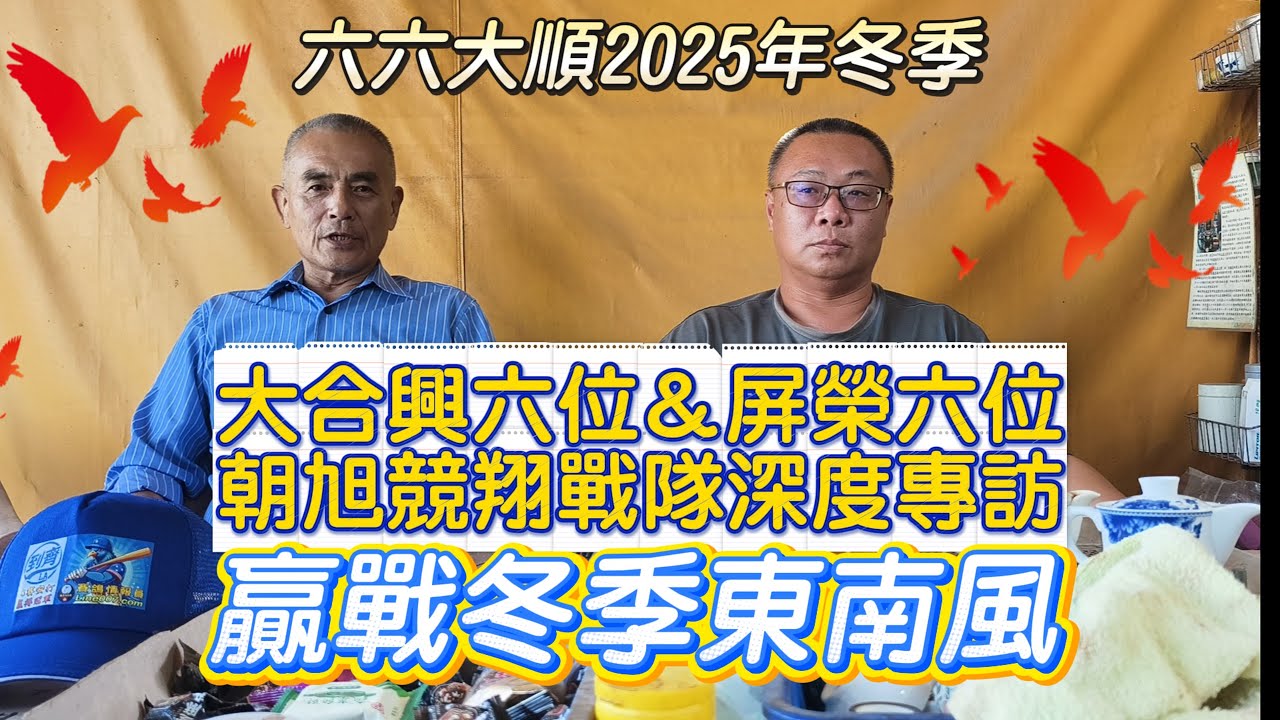 六六大順！2025年冬季大合興&屏榮五關綜合六位！朝旭競翔宋建霆＆于建欽迎戰冬季東南風深度專訪 #賽鴿 #種鴿 #大斑金母 #黃金配對 #秘包 ＃飛戈