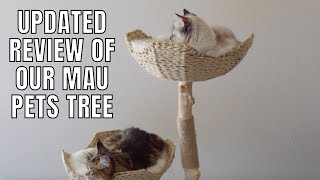 Updated Review of Our Mau Pets Cat Tree