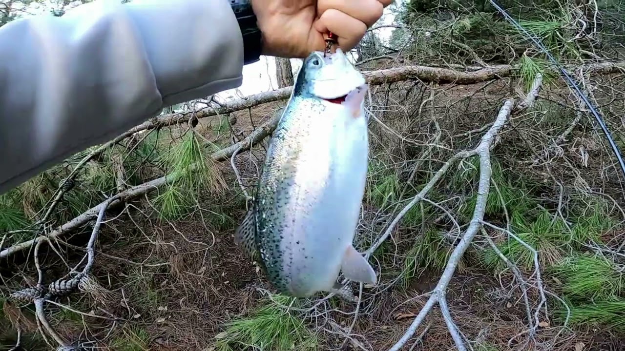 Kahramanmaraş lrf-spin  Alabalık Avı (Trout Fish)