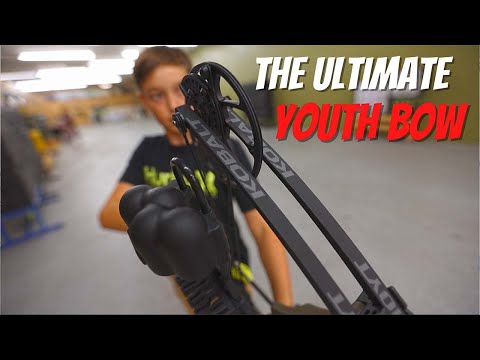 2022 Hoyt Kobalt Youth Bow Review | A Must Have For Youth Archers