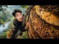 😱 I Climbed a Tree and Found a GIANT Bee Hive!! #viralvideo #bee #shortsfeed #shorts #youtubevideo