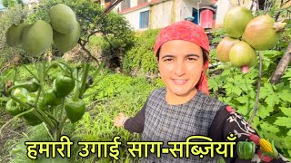 पहाड़ों में मेहनत से उगाई फल और सब्ज़ियाँ 🌽🍅🫑 || Pahadi lifestyle Vlog || Girl from North