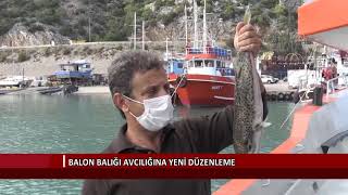 Balon Balığı Avcılığına Yeni Düzenleme Resimi