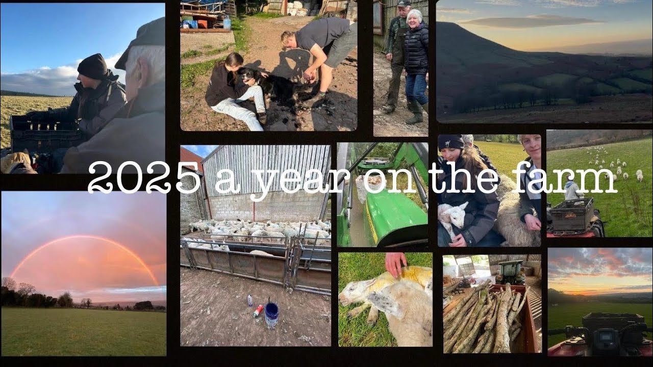 2025 A look back at my farming year 