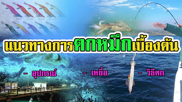 เทคนิคแนวทาง | การตกหมึก เบื้องต้น 2023 |