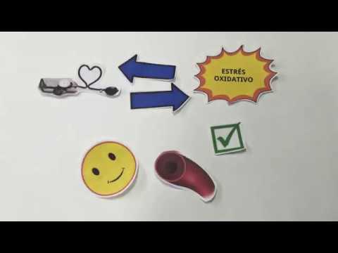 ¿El estrés oxidativo causa hipertensión?