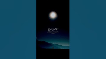 ارح سمعك😴🌜\\استمع الى القرآن الكريم ولك الاجر||status quran #quran #mina_om_farah
