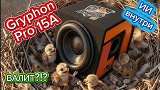 Топовый активный саб Gryphon Pro 15A от DL Audio. 