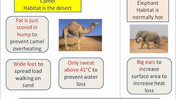 OCR Gateway B2e Adaptations - part 2
