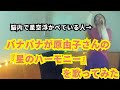 原由子/星のハーモニー cover by バナバナ【歌ってみた🎋】【うたスキ動画】