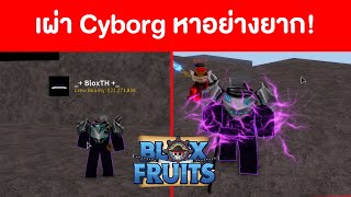 Blox Fruits UPDATE14 รีวิวเผ่า Cyborg (Cyborg race Showcase)