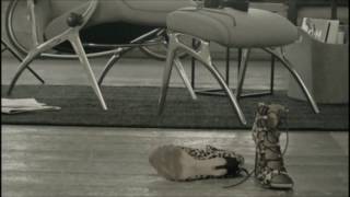 Ekornes Stressless You Recliner Chair Promo Video