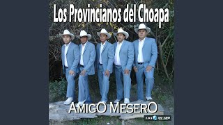 Video thumbnail of "Los Provincianos del Choapa - Pido Perdón"