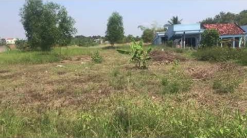 đất mặt tiền 830 cần đước long an | bán 1900m2 thổ cư 100%