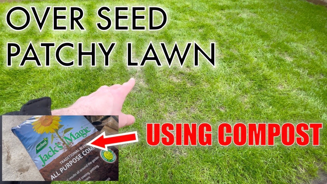 How to OVER SEED a Patchy Lawn and Top Dress Using COMPOST - UK Lawn ...