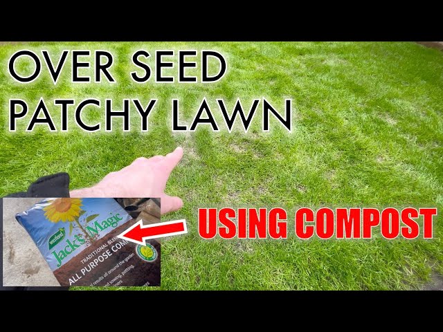 overseed or top dress first How to Top Dress Your Lawn