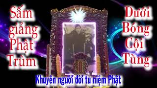 SẤM GIẢNG DƯỚI BÓNG CỘI TÙNG ❤️ ĐỨC PHẬT TRÙM TU GẤP GẤP 🙏 🔊🔊🔊🔊🔊