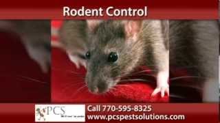 Marietta Rodent Control | PCS Pest Control Solutions Call 770-595-8325