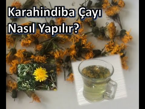 Video: Evdə Hindiba Kvası: Reseptlər Və Addım-addım Fotoşəkillər