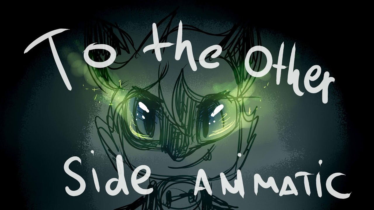 To The Other Side ANIMATIC Miraculous Ladybug Adrien and Plagg