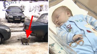 Russia The hero cat who SAVED an abandoned baby, Masha the hero cat saves baby from freezing