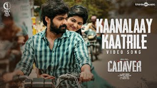 Miniatura de "Kaanalaay Kaatrile Video Song | Cadaver | Amala Paul, Athulya Ravi, Thrigun, Riythvika | Ranjin Raj"