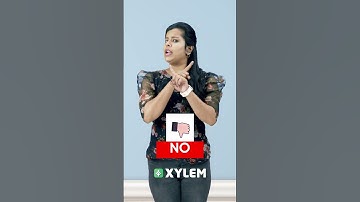 ഇത് ഇങ്ങനെയൊന്നും അല്ലാലേ❓ | Xylem Class 7