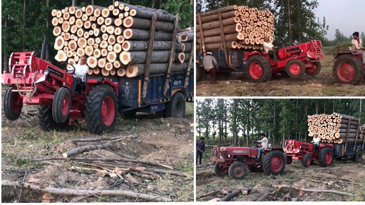 Mahindra 575 di xp plus Mahindra 265 di tractor ke jor🔥🔥 YouTube