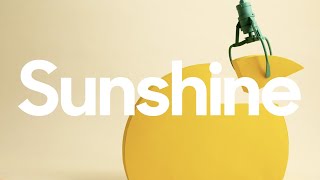 Introducing Zendesk Sunshine screenshot 3